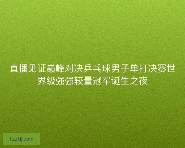 直播见证巅峰对决乒乓球男子单打决赛世界级强强较量冠军诞生之夜