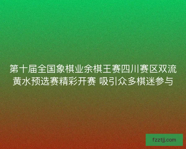 第十届全国象棋业余棋王赛四川赛区双流黄水预选赛精彩开赛 吸引众多棋迷参与