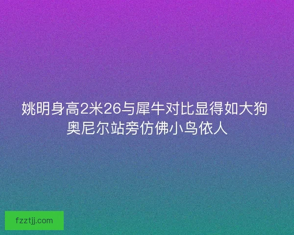 姚明身高2米26与犀牛对比显得如大狗 奥尼尔站旁仿佛小鸟依人