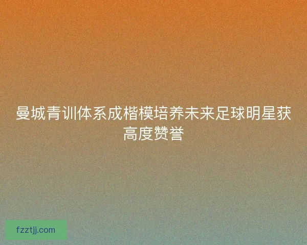 曼城青训体系成楷模培养未来足球明星获高度赞誉